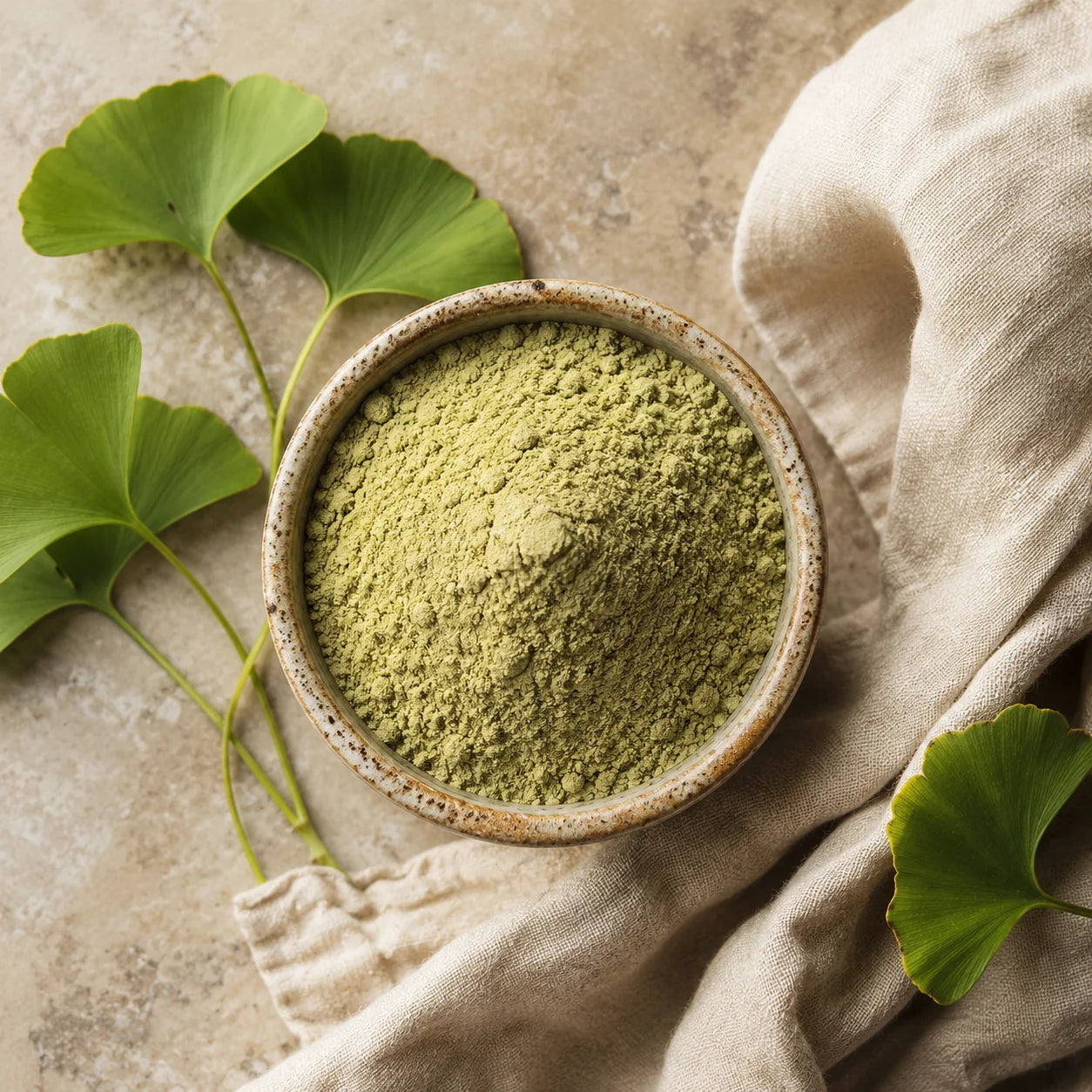 Ginkgo Biloba